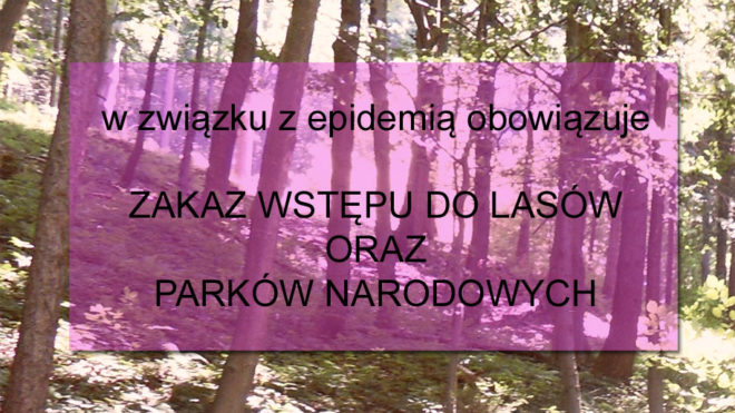 Zakaz wstępu do lasów