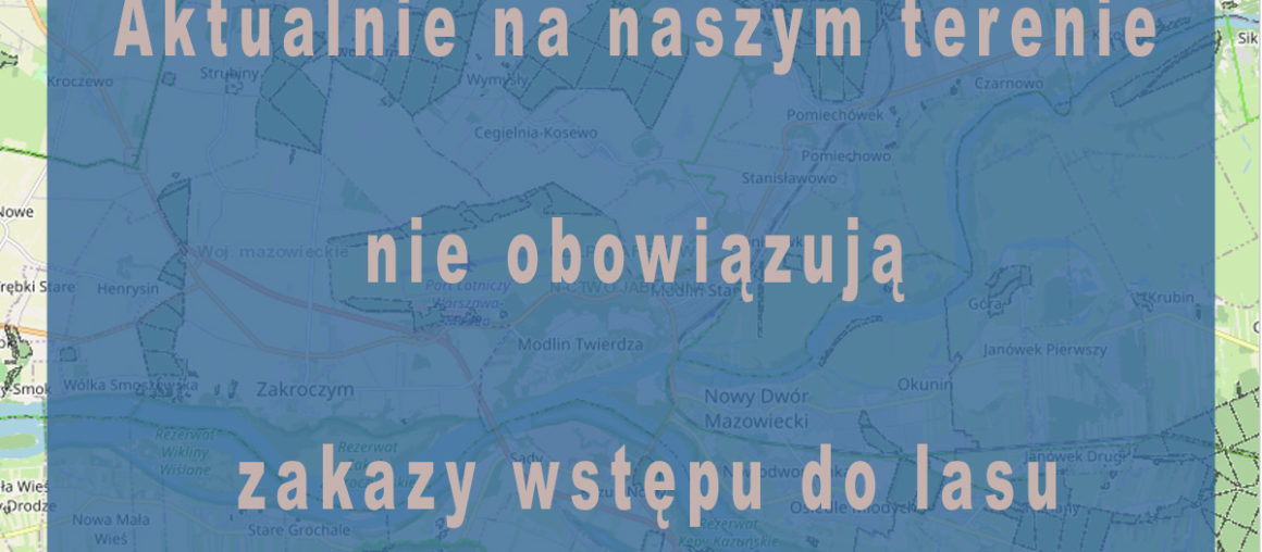 Brak zakazów wstępu do lasów