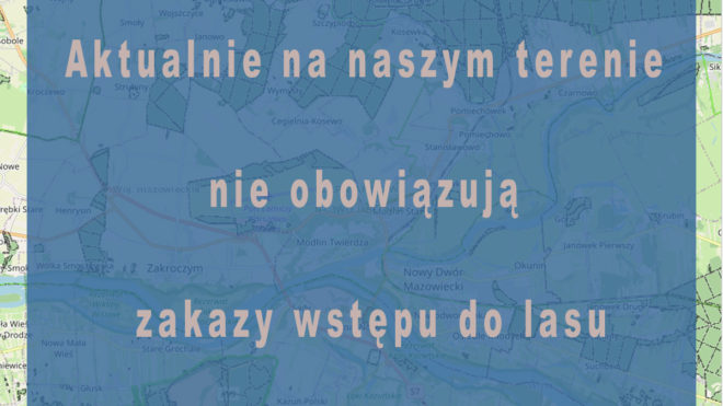 Brak zakazów wstępu do lasów