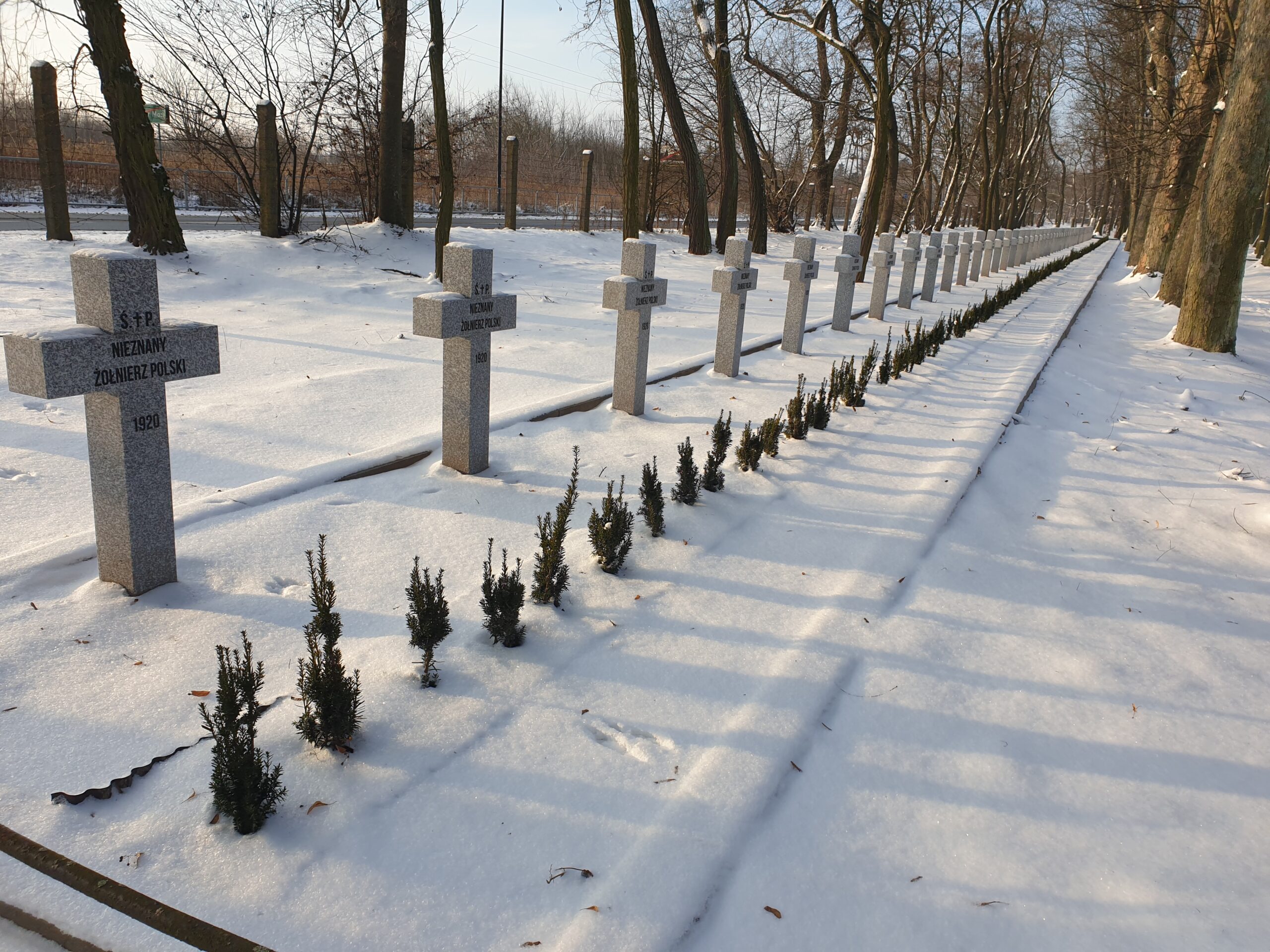 Nowe oblicze cmentarza wojennego w Twierdzy Modlin