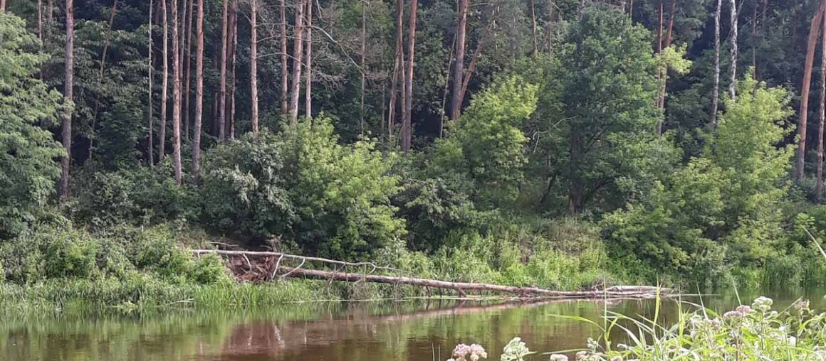 Kanon powiatu nowodworskiego sprawozdanie z prac .