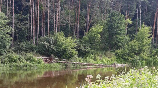 Kanon powiatu nowodworskiego sprawozdanie z prac .