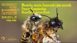 Pszczoły Puszczy Kampinoskiej