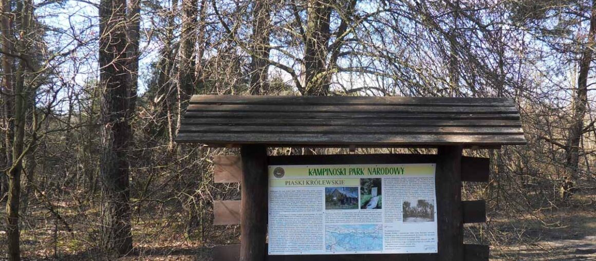 Kampinoski Park Narodowy ma 64 lata!