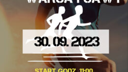 Bieg Warsa i Sawy